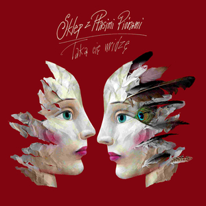 Podpowiedz mi dobrą rolę