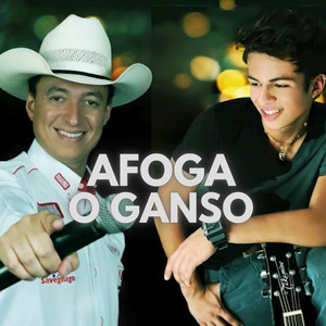 Afoga o Ganso