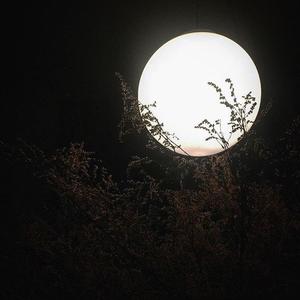 不在（烟嗓版）