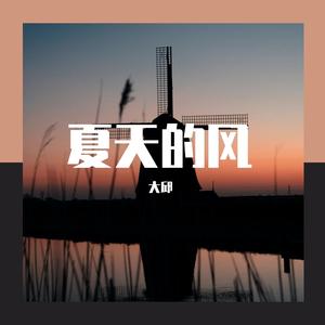 夏天的风（吉他弹唱）