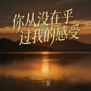 你从没在乎过我的感受