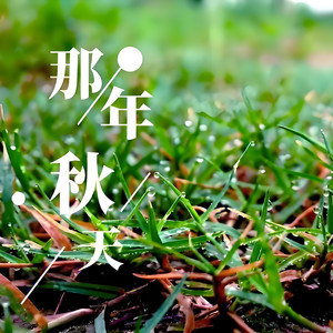 窗外的雨-整曲 伴奏