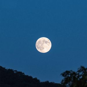 春露润芳菲