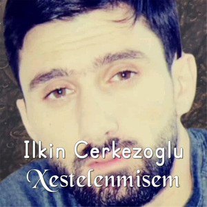 Xestelenmisem