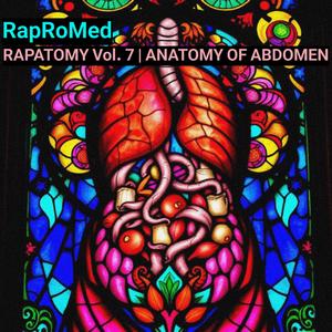Anatomy of the Peritoneum and Peritoneal Cavity