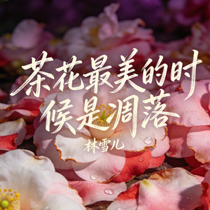 茶花最美的时候是凋落
