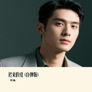迟来的爱  (自弹版) (Cover 郝琪力)