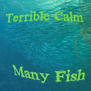 Many Fish (Instrumental) (Instrumental)