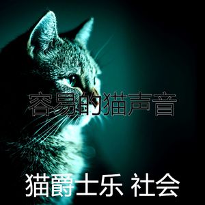 诗意的猫在家节奏