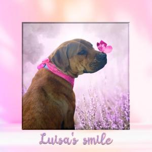 Luisa's Smile