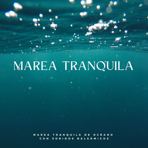 Disfrute Del Océano