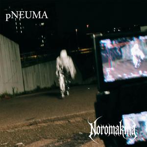 pNEUMA