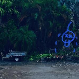 又爱又恨的极端