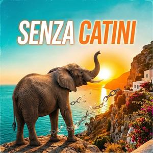 Senza Catini