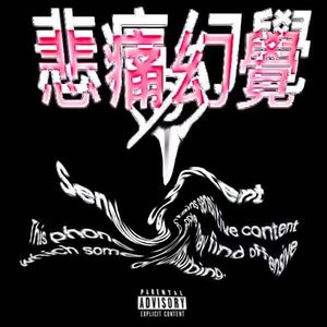 悲痛幻覺 (Prodby.Hurric4n3)