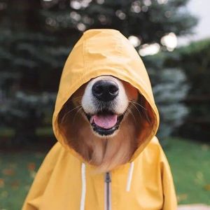 永恒的阳光之舞Prod.by RYE31 & Poree