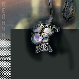 Беличий кускус