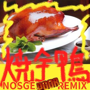 Burn (Nosgel POOR Remix)