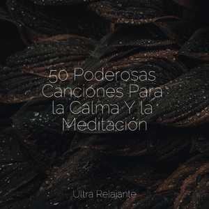 Caleidoscopio De Sueños