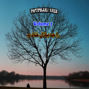 Maa Mot Pothwari Sher