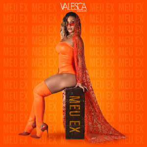Meu Ex