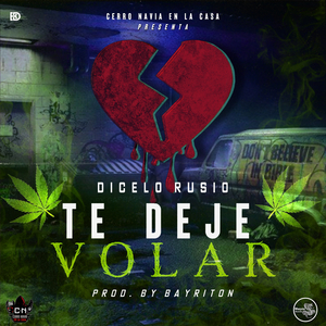 Te Dejé Volar (Audio Oficial)