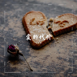 爱的代价（吉他）