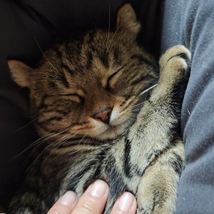 缺失的那一部分你