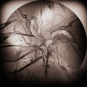 Battery Setup in a Forest Clearing
