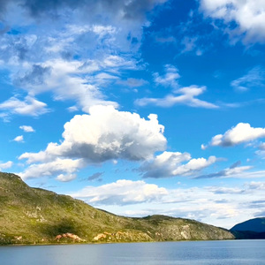 月亮是我抛的硬币