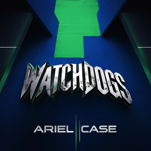 Watchdogs