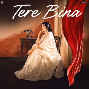 Tere Bina