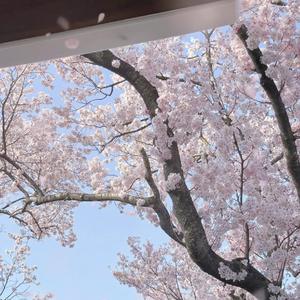 遇到你的时候所有星星都落到我头上