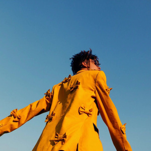 V12（instrumental）