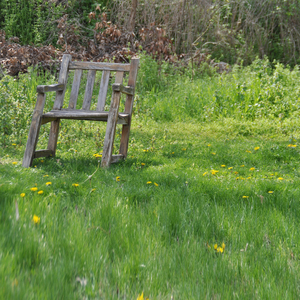 나무 의자 (산책)