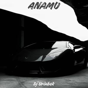 ANAMU