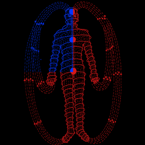 FLESH FLAG: 舞踏ミックステープ