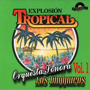 El Carbonero/Las Velas/El Canoero/Ay No Se Puede/El Aguajal/La Caprichosa/Como una Piedra en el Zapato/Amor Vendido/Las Mujeres/Ha-Fo/Salsa y Guaguanco/Margot/Feliz Cumbe/Por Favor Olvidame