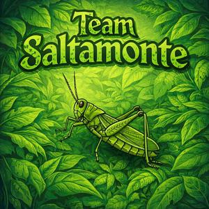 Team Saltamonte