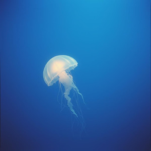 まだ終わらない命の歌