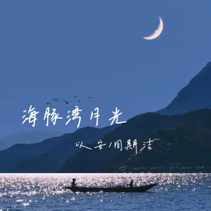 海豚湾月光