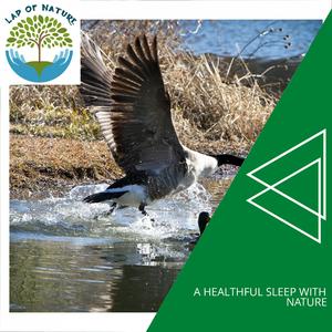 Uninterrupted Rain Dripping