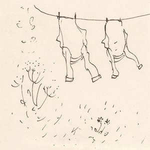 Nasturtium Runners (Read by the Rain)