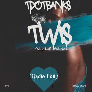 Twis (and she wanna) (Radio Edit)