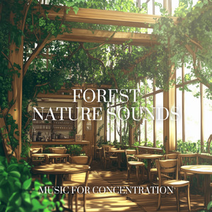 春のソナタ (雨)