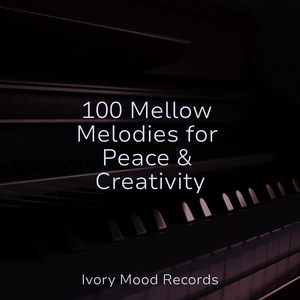 Solemn Echoes in Silence