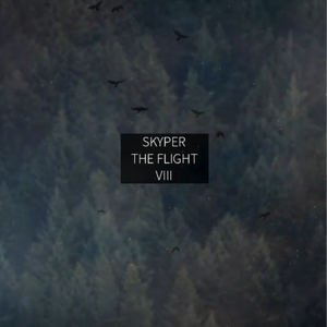 The Flight VIII
