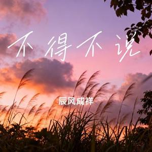 不得不说