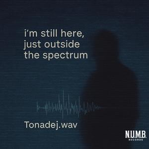 I’m Still Here, Just Outside the Spectrum