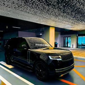 （SalamBattirMucci remix）